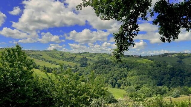 Landscape of the hills with vineyards and forests with blue skies and white clouds around Serralunga di Alba, in Langhe, a UNESCO World Heritage Site, Italy, a typical Barolo wine area.