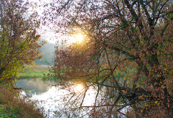 River in autumn, autumn trees reflected in water, lake in the park
