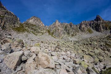 Chamonix Montblanc beautiful alpine mountain summits landscape. Alps mountains with snow and glacier above green valley of Chamonix in France. Alps beautiful scenery in summer