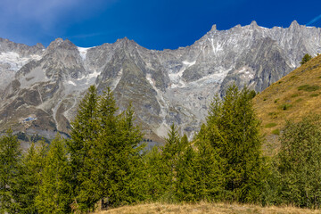 Fototapeta premium Chamonix Montblanc beautiful alpine mountain summits landscape. Alps mountains with snow and glacier above green valley of Chamonix in France. Alps beautiful scenery in summer