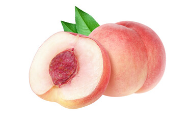 桃 イラスト リアル 白バック