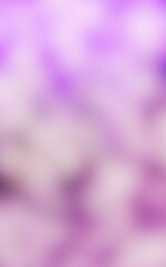 abstract background pink