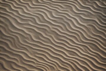 Obraz premium texture of sand