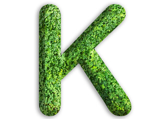 3d of alphabet K, design made from green grass on white background