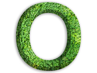 3d of alphabet O, design made from green grass on white background