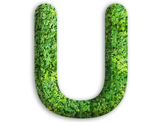 3d of alphabet U, design made from green grass on white background