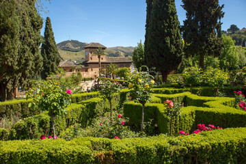Garden in Alhambra - Granada, Spain