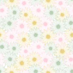Chamomile naive vector endless rapport. Camomile daisy blossom with