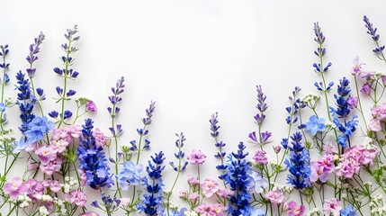 Naklejka premium Spring flowers border on white background, blue and purple colors.