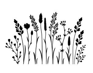 Wildflowers flowers isolated and floral pattern