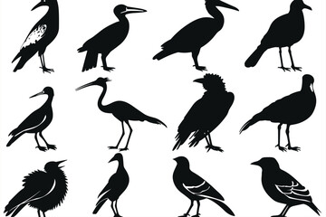 Different Types Of Birds Silhouette Vector. Birds silhouette set. Different types of birds isolated vector Silhouettes. different types of Vector silhouettes Bird icons set, 