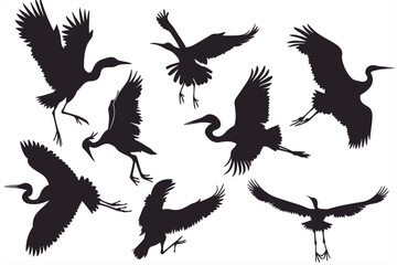 Different Types Of Birds Silhouette Vector. Birds silhouette set. Different types of birds isolated vector Silhouettes. different types of Vector silhouettes Bird icons set, 