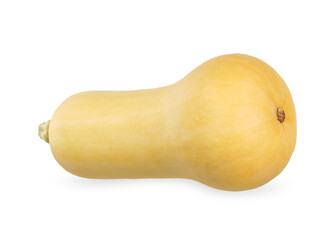 Butternut isolated on white background.