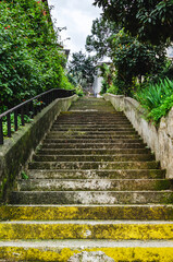 ancient stone stairs on which grass and moss grow