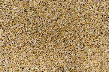 Texture of sand on beach. Background image for design. Beautiful beach sand texture as background