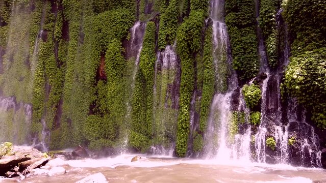 A forest wall in Cotabato the Philippines, is filled with flowing water shapes and flowing-like curtains. 