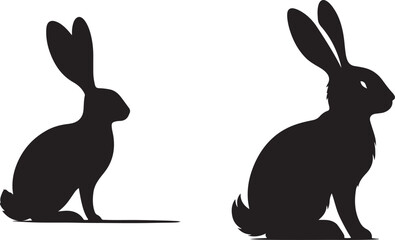 rabbit  silhouette white background .