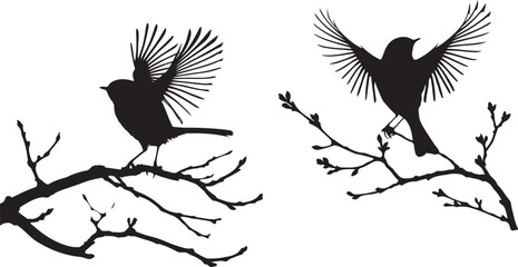 bird  silhouette white background  