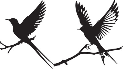  bird  silhouette white background 