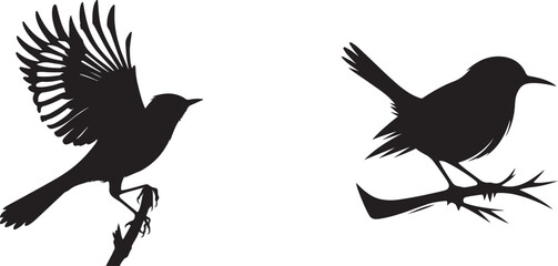  bird  silhouette white background