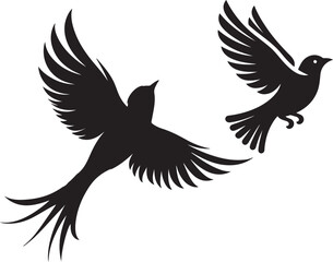  bird  silhouette white background 