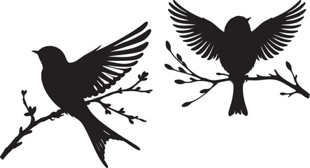 bird  silhouette white background