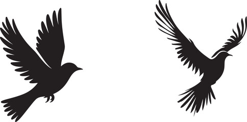 bird  silhouette white background