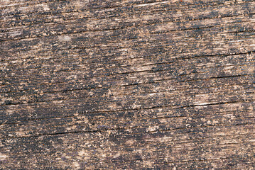 Texture of old dirty wooden board. Surface of old dirty dark wood texture background.
