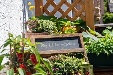 Mein kleiner Garten auf dem Balkon