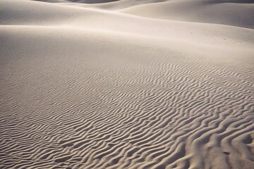 Obraz premium ripples in the sand