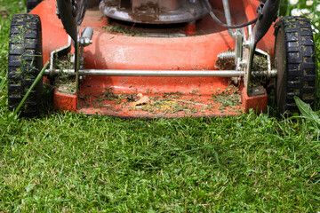 Rasenm&auml;her k&uuml;rzt das Gras ein