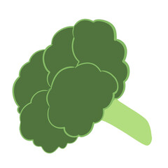 broccoli icon on transparent background