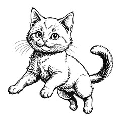 Obraz premium Persian Cat Kitten Hand Drawn Engraved Ink Line Art Sketch Illustration