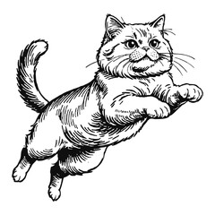 Obraz premium Persian Cat Hand Drawn Engraved Ink Line Art Sketch Illustration