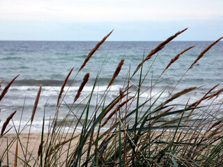 Impressions of the beautiful beach in Markgrafenheide near Rostock