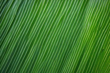 Fototapeta premium abstract background