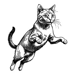 Obraz premium Russian Blue Cat Hand Drawn Engraved Ink Line Art Sketch Illustration