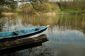 Obraz premium Forest, trees, thickets, greenery, nature, river, lake, boat, fishing