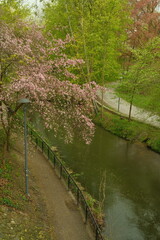 Fototapeta premium Park, greenery, sunny day, river, trees