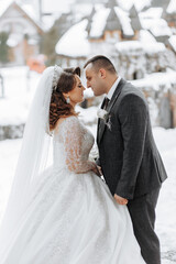 Naklejka premium A bride and groom are standing in the snow, with the bride wearing a white dress and the groom wearing a suit