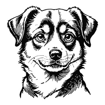 recommend clip art: Brauner Hund Dog Puppy Hand Drawn Engraved Ink Line Art Sketch Illustration