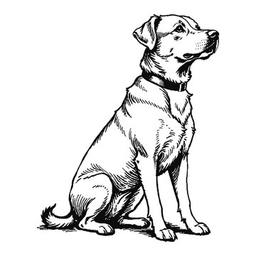 recommend clip art: Brauner Hund Dog Hand Drawn Engraved Ink Line Art Sketch Illustration