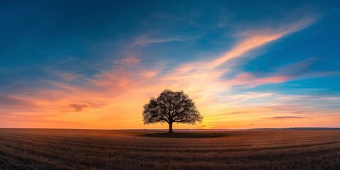 A tree stands in a field with a beautiful sunset in the background