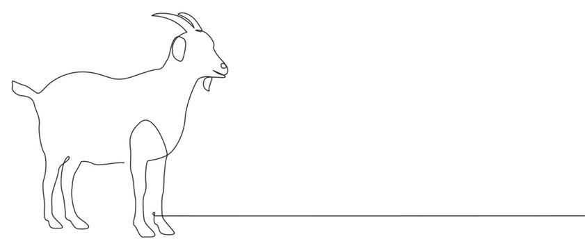 recommend clip art: Continuous line drawing of sheep art style. Modern single line art. Happy idul adha, minimalistic style