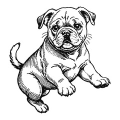 Bulldog Dog Puppy Hand Drawn Engraved Ink Line Art Sketch Illustration