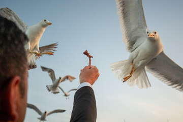 Feeding seagulls in the courtyard of Hagia Sophia Mosque in Istanbul