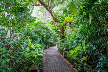 A brick path winds through lush tropical foliage, creating a tranquil and inviting escape from the everyday hustle and bustle.