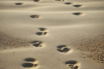 footprints in the sand