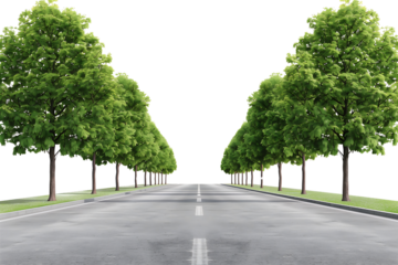 Asphalt road with center line and trees isolated on transparent background