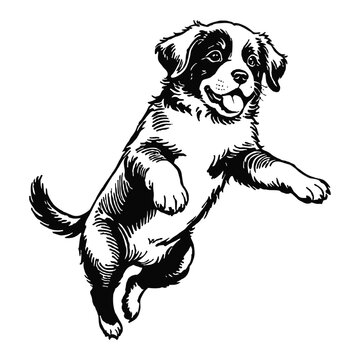 recommend clip art: Newfoundland Dog Puppy Hand Drawn Engraved Ink Line Art Sketch Illustration